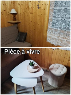 Chalet cosy et familial Animaux acceptés